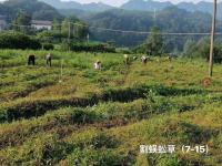 351e72c7ea8d1caa056ec7ed9bb78ef