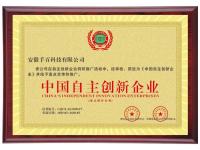 中国自主创新企业奖牌