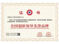 全国创新领导先锋品牌证书