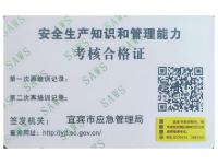 专业等级证书-12-