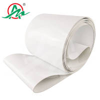 食品级硅胶输送带1