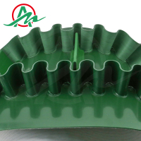 PVC裙边挡板输送带4