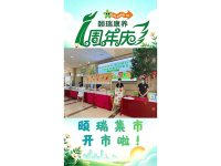集市