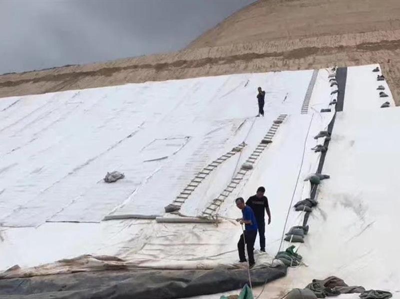 三维复合排水网-6-