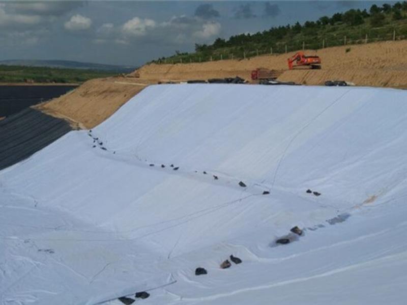 三维复合排水网-5-