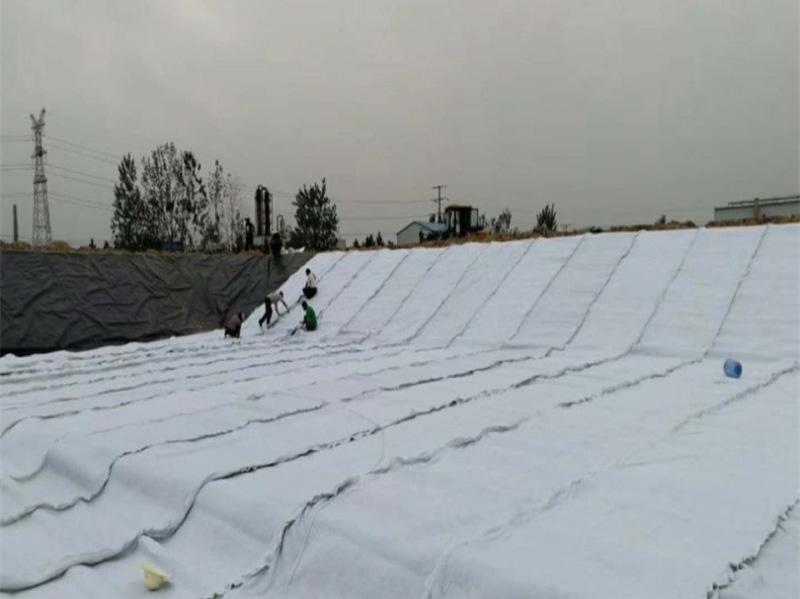 三维复合排水网-3-