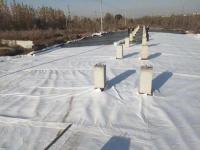 三维复合排水网-1-