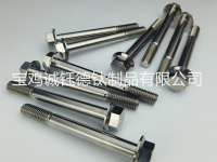 钛合金法兰螺栓-1