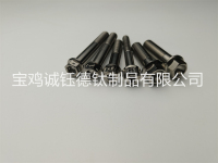钛合金花头法兰螺栓-5