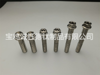 钛合金花头法兰螺栓-2