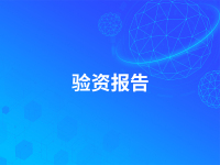 验资报告