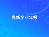 高新企业年报