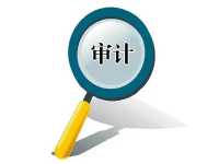 审计代理