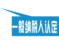 一般纳税人