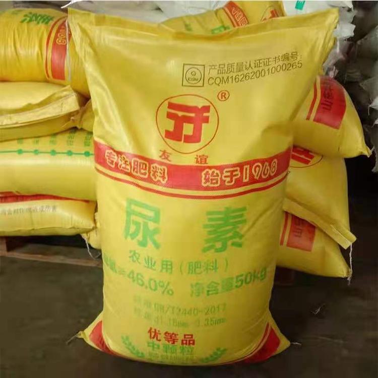 image-20250213085829-1