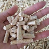 image-20250213090017-1