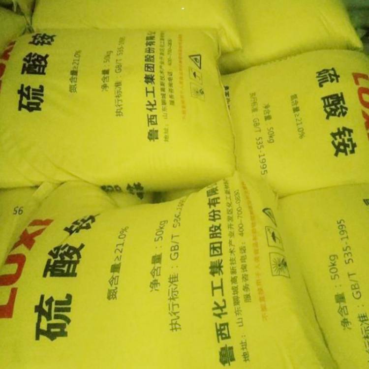 image-20250213090132-1