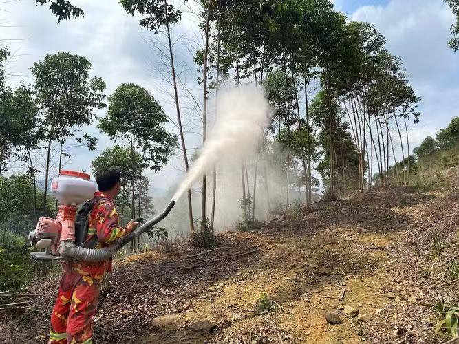 佳筑环保图片-林业害虫防治3