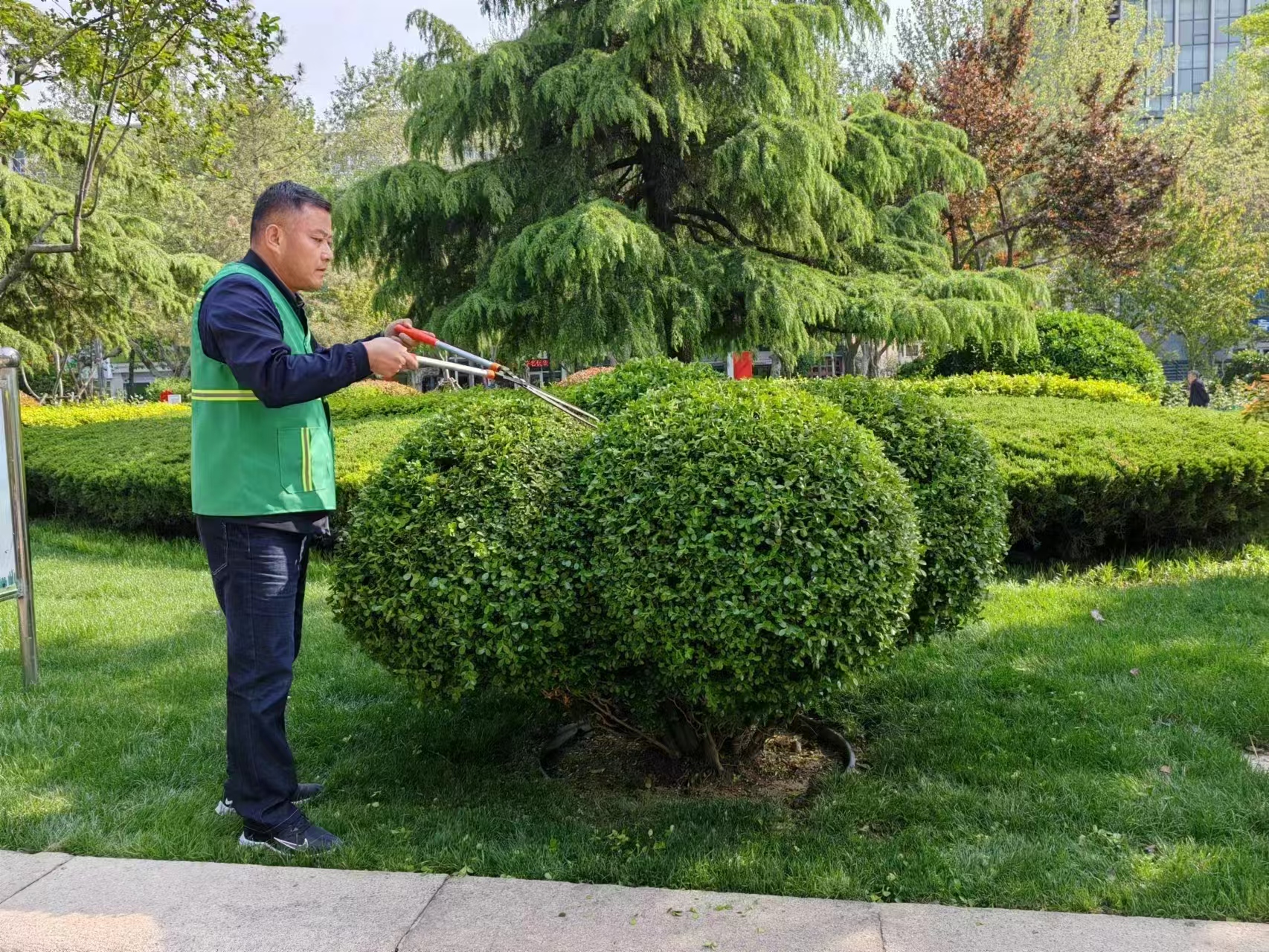 佳筑环保图片-绿化修剪3