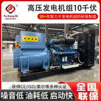福康斯高压发电机组
