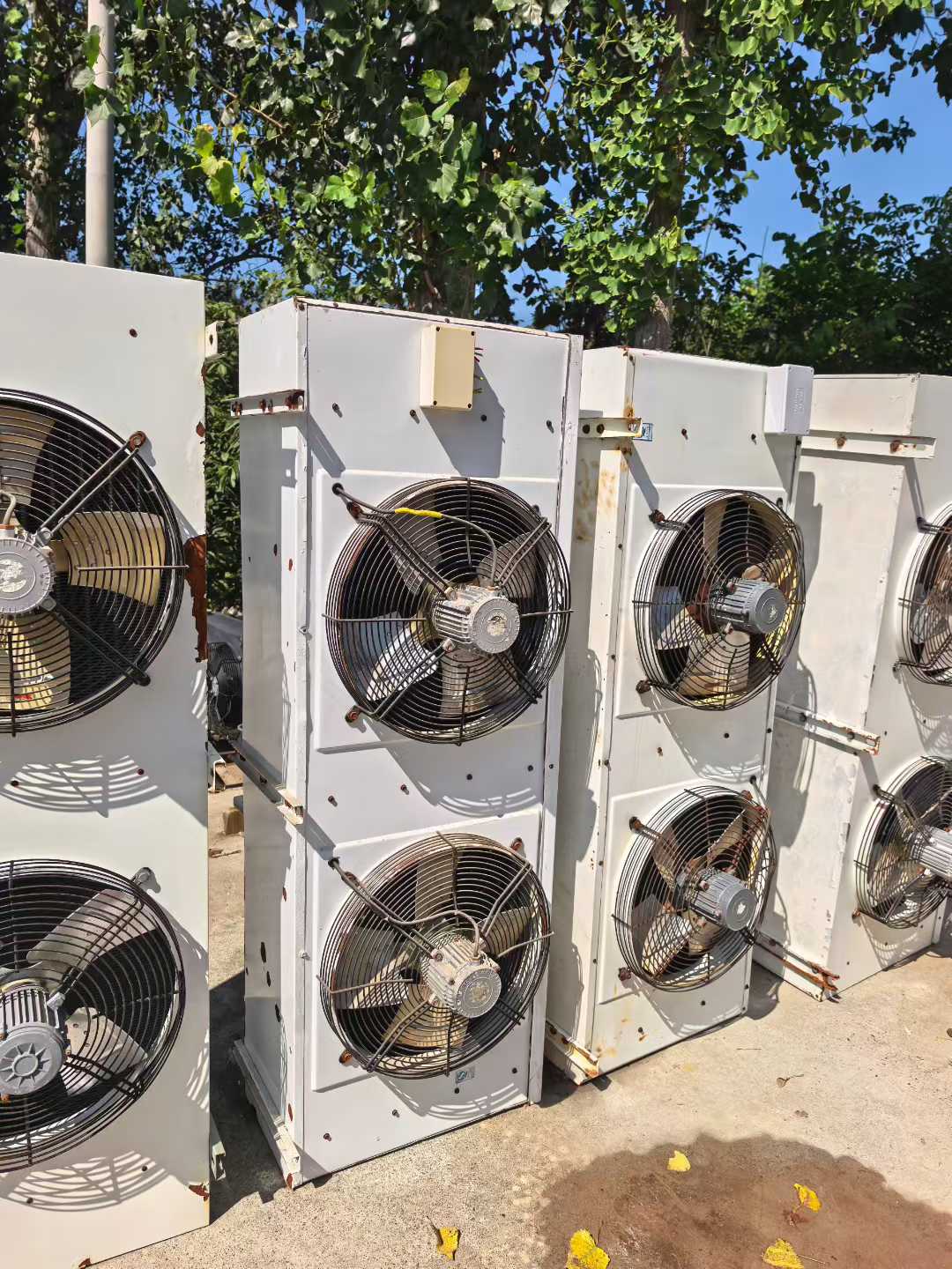 微信图片_2025-09-20_123115_700