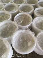 299da460f591dfaf0d99ac09d05ed69