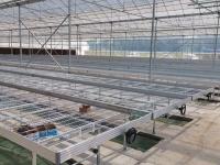 育苗床-3-