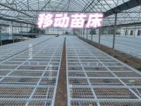 移动苗床-8-