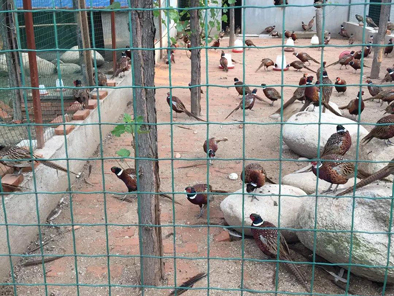 image-20240712170958-1