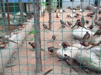 image-20240712170958-1