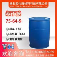 叔丁胺75-64-9