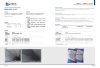 隧道防火涂料-RABT-