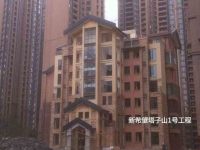 希望塔子山工程