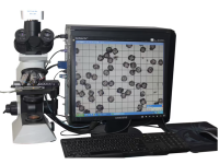 WX20240303-222837@2x