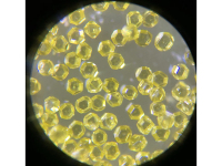 ABUIABACGAAg14X5gwYooJr_eTDbCzi-Cw