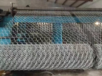 微信图片_202401021030121