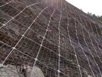 微信图片_202401021029531