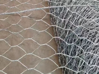 微信图片_20240102102951