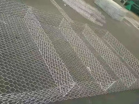 微信图片_20240102102908