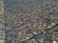 微信图片_20240102102905