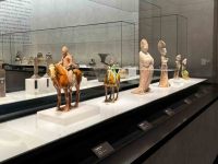 微信图片_20260226102124_491_2