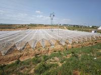 防雹网施工案例-2-