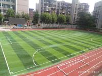EPDM塑胶跑道-27-