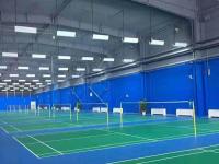6羽毛球馆地胶