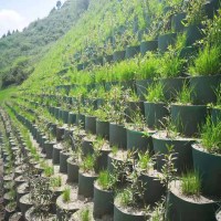 微信图片_20200327104129