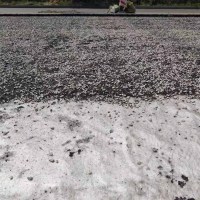 mmexport1715846821943