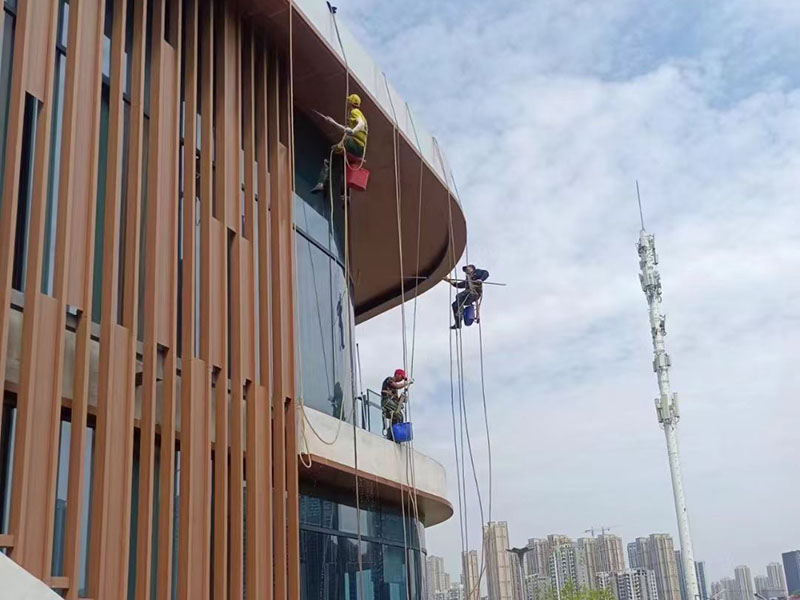 image-20250314083751-1