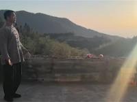 五行拳片段演示3