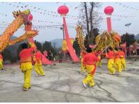 舞龙舞狮-6-