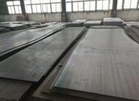 image-20250315135355-1